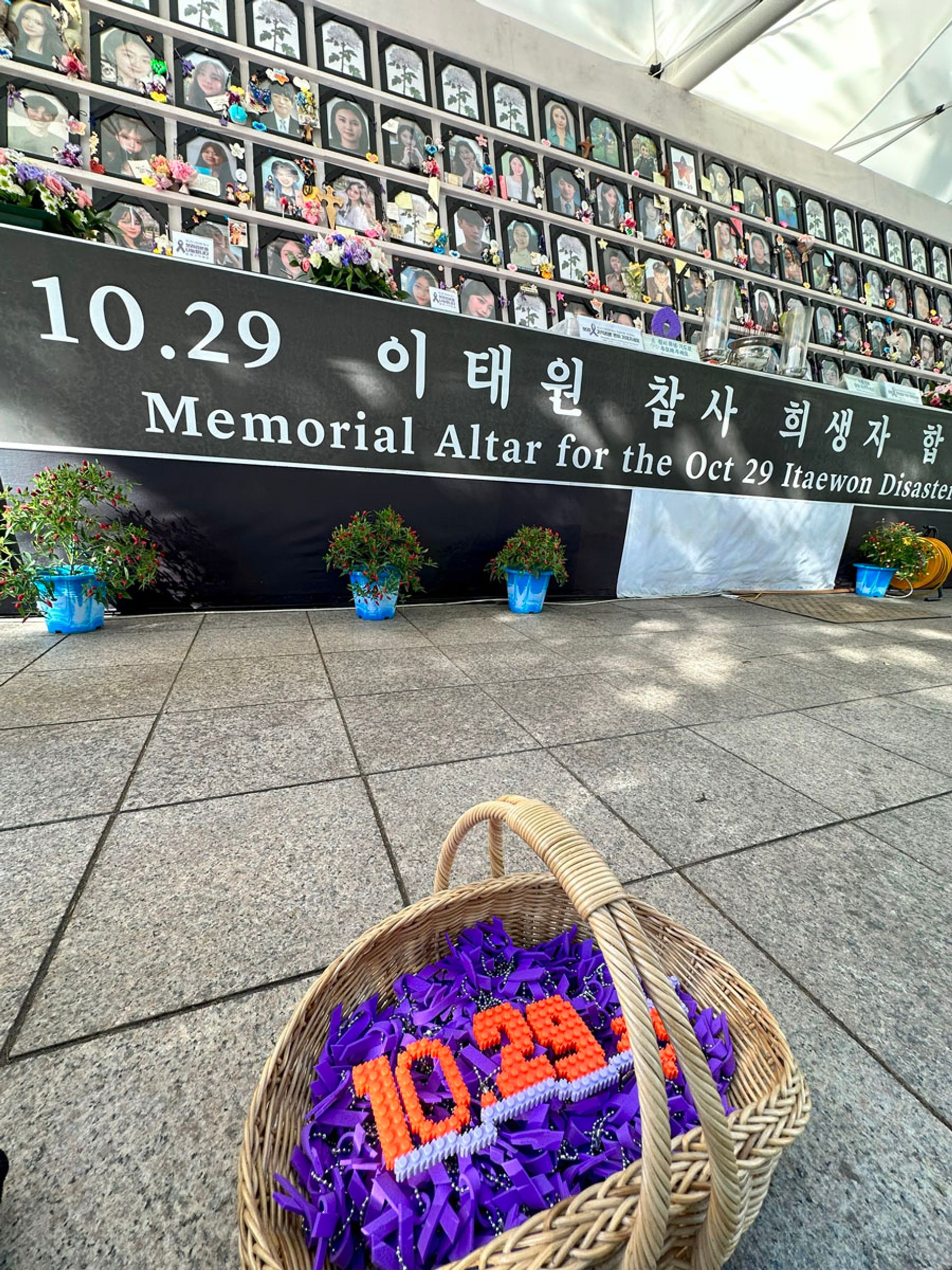 A memorial altar devoted to the 159 people who died in the Halloween crowd crush. It is located outside Seoul City Hall. Many parents of the victims gather here to keep vigil. PHOTO: WENDY TEO