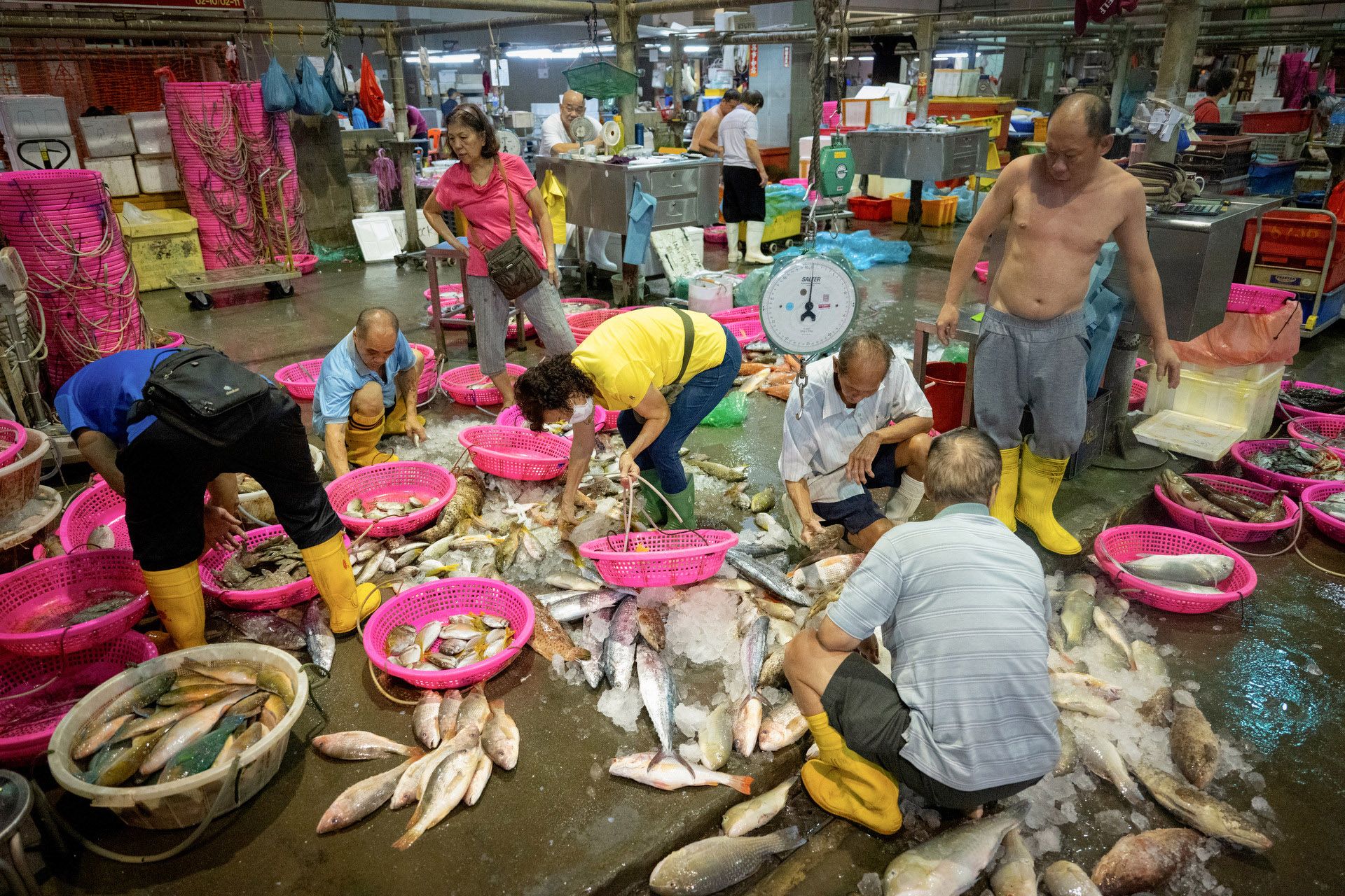 Fishmongers rushing to pick the freshest seafood at a stall at Senoko Fishery Port at 3.30am on March 9. The facility serves mainly stallholders operating in wet markets in the north and east of Singapore.