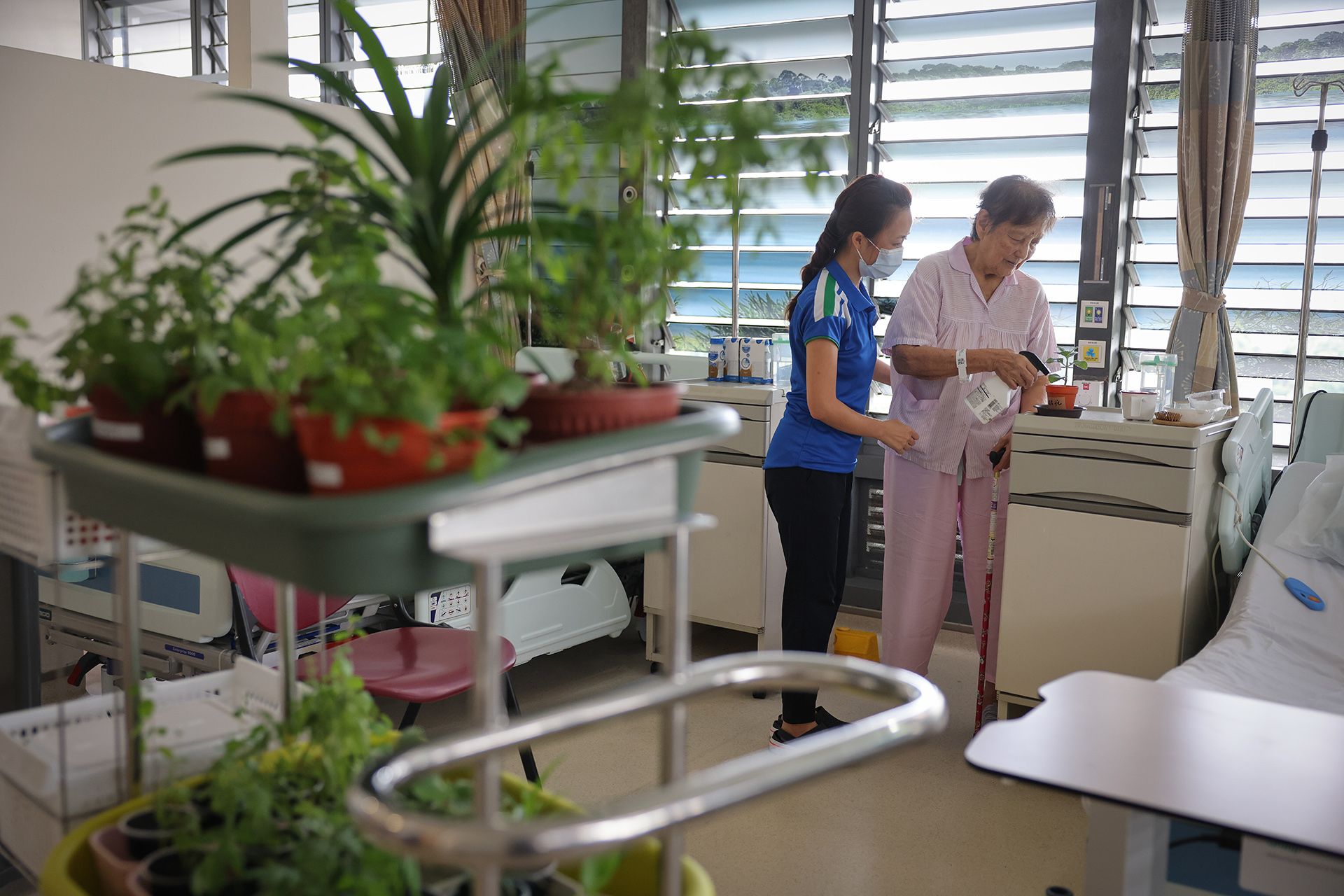 Madam Sim Boon Hway (right), 90, standing next to her bed and using a spray bottle to water the plant that she transplanted herself moments ago.